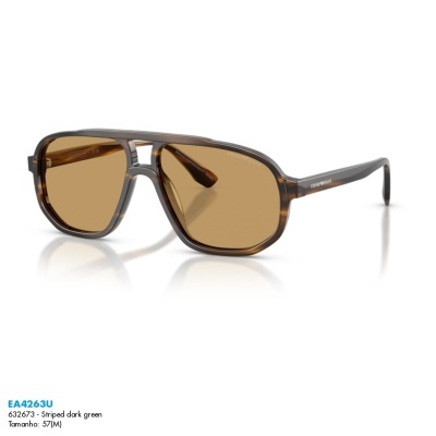 Óculos de sol Emporio Armani EA4263U