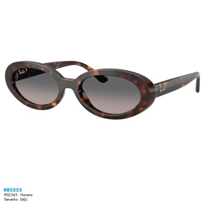 Óculos de sol Ray-Ban RB2223 Óculos de sol Ray-Ban RB2223