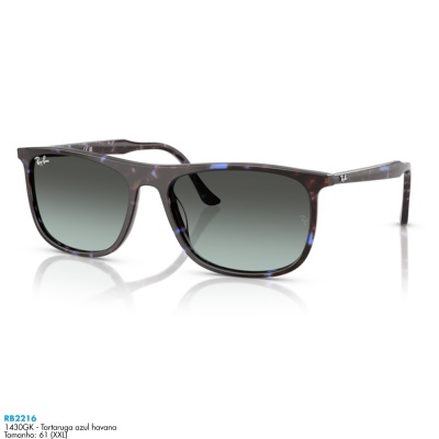 Óculos de sol Ray-Ban RB2216