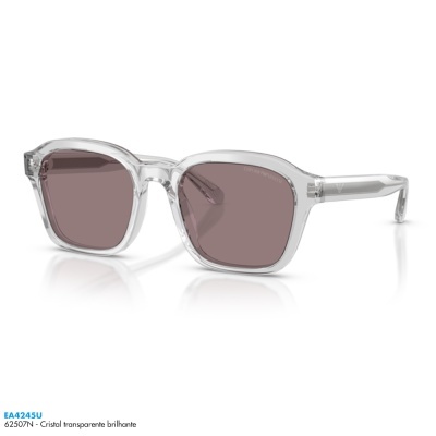 Óculos de sol Emporio Armani EA4245U
