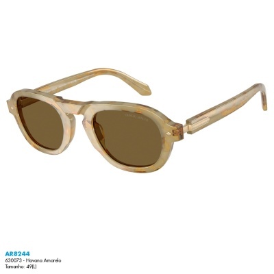 Óculos de Sol Giorgio Armani AR8244