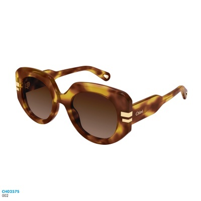 Óculos de sol Chloé CH0257S