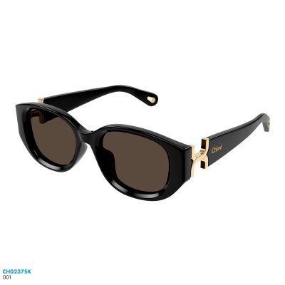 Óculos de sol Chloé CH0237SK