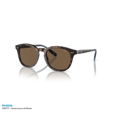 Óculos de sol Polo Ralph Lauren PH4206 Óculos de sol Polo Ralph Lauren PH4206