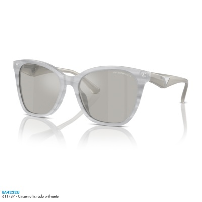 Óculos de sol Emporio Armani EA4222U