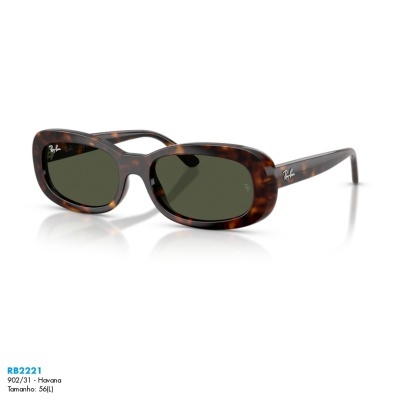 Óculos de sol Ray-Ban RB2221