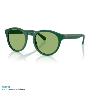 Óculos de sol Polo Ralph Lauren PH4192