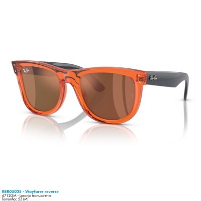 Óculos de sol Ray-Ban RBR0502S - Wayfarer reverse