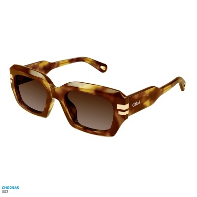 Óculos de sol Chloé CH0256S
