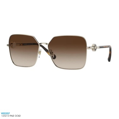 Óculos de sol Versace VE2227 Óculos de sol Versace VE2227