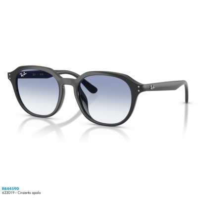 Óculos de sol Ray-Ban RB4459D Óculos de sol Ray-Ban RB4459D