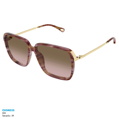 Óculos de sol Chloé CH0405S