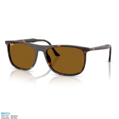 Óculos de sol Ray-Ban RB2216
