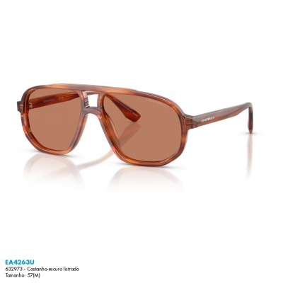 Óculos de sol Emporio Armani EA4263U