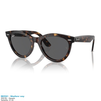 Óculos de sol Ray-Ban RB2241 - Wayfarer way