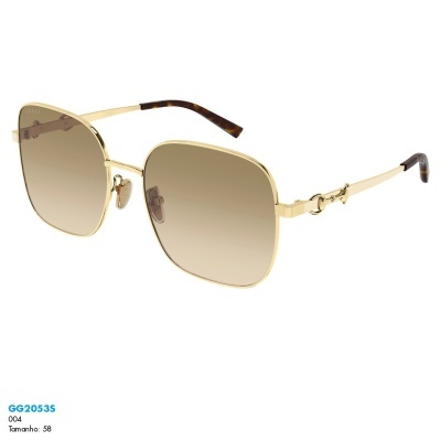 Óculos de sol Gucci GG2053S