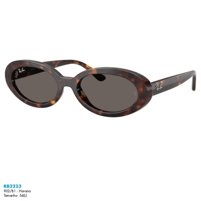 Óculos de sol Ray-Ban RB2223 Óculos de sol Ray-Ban RB2223
