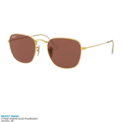 Óculos de sol Ray-Ban RB3857 FRANK