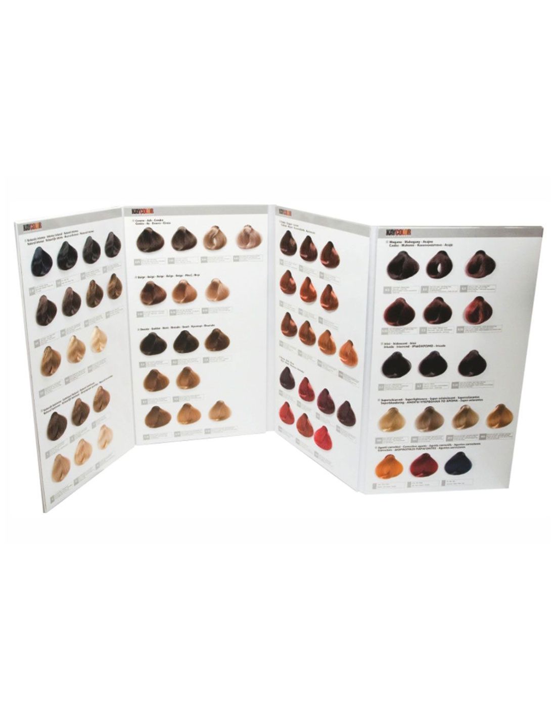 Cartão amostras cores cabelo castanho, loiro, ruivo e preto