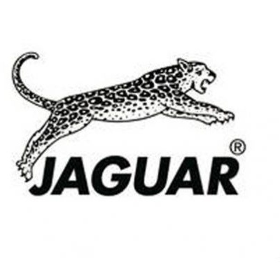 Logótipo preto e branco com jaguar em salto e texto 'JAGUAR'