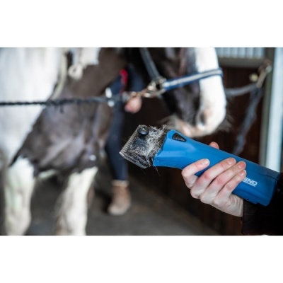 Lâmina de tosquia azul com pelo de cavalo, pessoa segurando, dois cavalos ao fundo