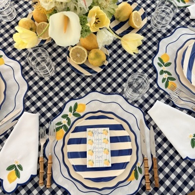 Individual&#x20;de&#x20;mesa&#x20;lim&#x00E3;o&#x20;azul