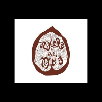 Logótipo de noz com texto estilizado castanho e padrão de nervuras