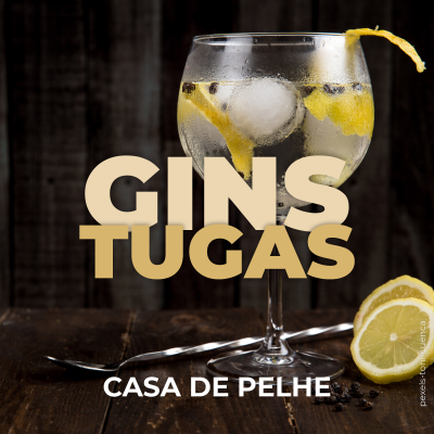 Copo de gin com gelo, limão e fundo madeira escura com texto GINS TUGAS CASA DE PELHE