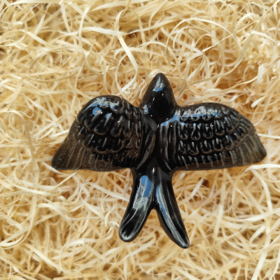 Pássaro preto brilhante sobre palha clara