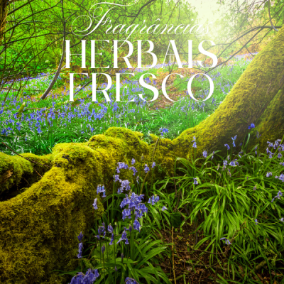 Floresta com tronco musgoso e flores azuis com texto Fragrâncias HERBAIS FRESCO