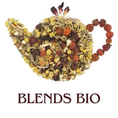 Mistura de ervas e frutos formando um bule de chá com o texto BLENDS BIO