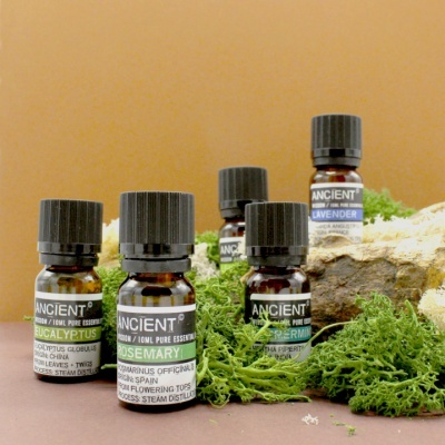 Frascos de óleos essenciais da marca ANCIENT sobre musgo e madeira