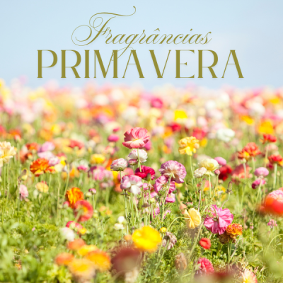 Campo de flores coloridas com texto 'Fragrâncias PRIMAVERA' no céu azul