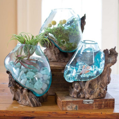 Trio de vasos de vidro e madeira com plantas e água