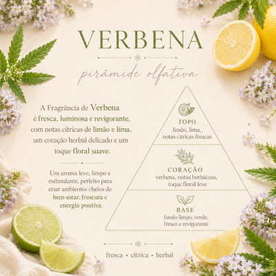 Pirâmide olfativa da fragrância Verbena com limão, lima, flores e folhas verdes