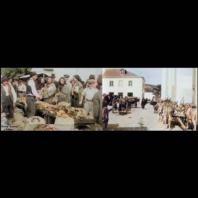 Cena tradicional com pessoas em roupas antigas e mulas alinhadas numa rua