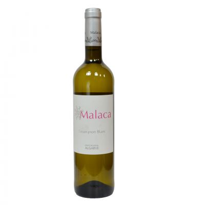 Garrafa de vinho branco Malaca Sauvignon blanc com rótulo branco