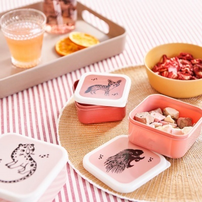 Recipientes quadrados cor-de-rosa com tampas brancas ilustradas com desenhos de animais em cima de um lugar de palha e toalha riscada, à frente de uma bandeja bege.