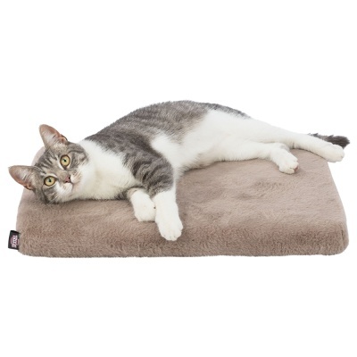 Gato cinza e branco deitado numa almofada castanha clara