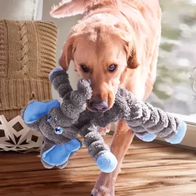 Cão com brinquedo elefante cinza com detalhes azuis num ambiente interior com almofada bege e chão de madeira