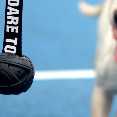 Bola preta de borracha pendurada com tira preta e texto 'DARE TO' com cão ao lado