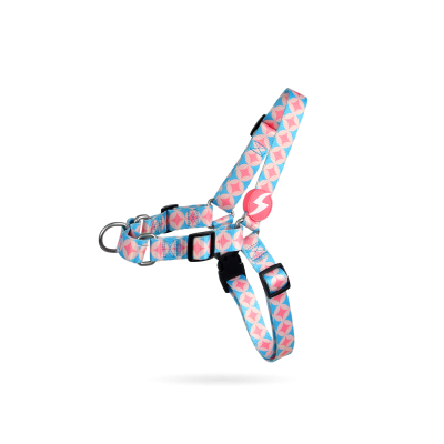 Peitoral para cão azul claro e rosa com padrão geométrico