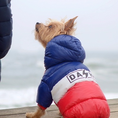 Cão com casaco acolchoado tricolor ao lado de pessoa, em plataforma de madeira no mar.
