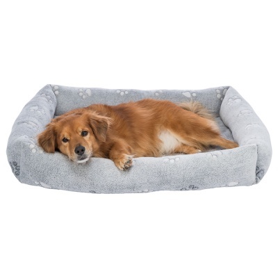Cão castanho deitado numa cama cinzenta para cães com padrão de patas