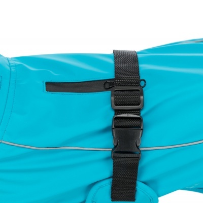 Roupa para cão azul com fecho e correia preta