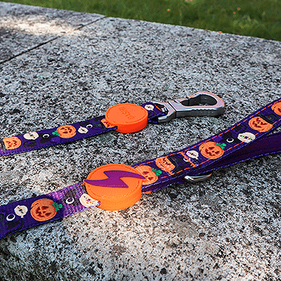 Coleira e trela para animais com padrão de abóboras e caveiras, peças plásticas laranja e fechos metálicos