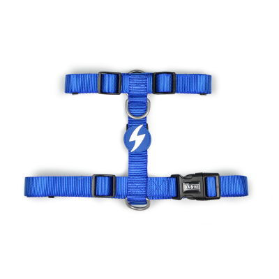 peitoral azul para cão com fivela e símbolo de raio