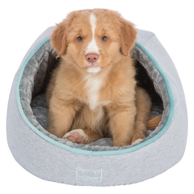Cama iglu cinza para cão com interior acolchoado e cão castanho claro sentado