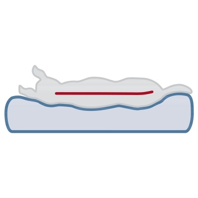 Pessoa deitada numa cama azul com linha vermelha ao longo do corpo