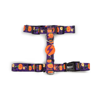 Peitoral de Halloween para animal com estampas de abóboras e morcegos em roxo, laranja e preto